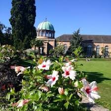 Im Botanischen Garten Bluhen Zu Jeder Jahreszeit Wundervolle Blumen Gerade Jetzt Im Spatsommer Und Bei Dem Traumhaften S Instagram Pictures Instagram Pictures