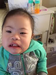 Blueberry addition for tear-free puppy