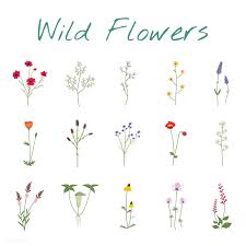 Download Premium Vector Of Illustrated Wild Flowers 4301 In 2020 Flower Drawing Design Flower Drawing Flower Illustration