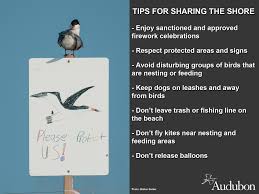 Birds Native To Virginia Beach Pin By Audubon Society On Audubon Action Birds Animals Fishing Line