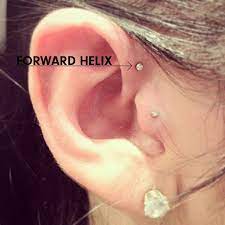 A Guide To Ear Piercing By New York Adorned S J Colby Smith Cute Ear Piercings Forward Helix Piercing Ear Piercings