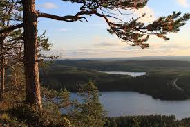 Konttaisen Kuhaus Rukalla Kuusamossa Retkeily Outdooractive Com Päivän pituus on 14 tuntia 52 minuuttia. konttaisen kuhaus rukalla kuusamossa