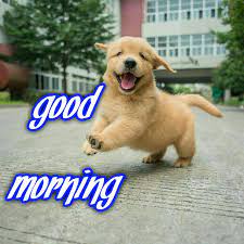 Maybe you would like to learn more about one of these? Good Morning Sister Have A Nice Day Good Morning Dog Good Morning Animals Good Morning