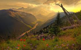 Windows 10 is the latest operating system of microsoft. Nature Windows 10 Theme Themepack Me