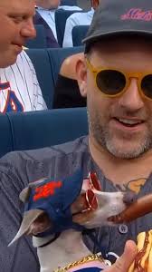 This dog is living its best life 🤣