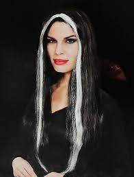 This is also a good way to practice to get the streak just the way you want it. Long Black Hair White Streak Wig Adult Women Straight Vampire Cosplay Gothic New 49022840492 Ebay
