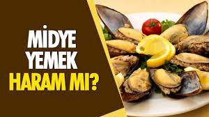 Jul 20, 2015 · fikriyat haberlerini, dosyalarını, yazarlarını, videolarını ve galerilerilerini www.fikriyat.com.tr'den takip edebilirsiniz. Midye Yemek Haram Mi