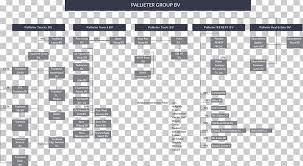 Organizational Chart Pallieter Group B V Holding Company