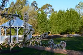 From cocktails on the lawn to fragrant lavender bouquets, here are our favorite spring garden wedding inspirations. Why Have A Spring Wedding In The Southern Highlands The Secret Garden