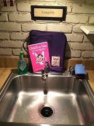 the flylady shine your sink & post it
