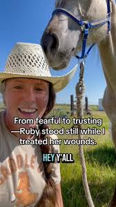 Last night’s storm left a few marks