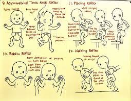 And More Reflexes Primitive Reflexes Pediatric Physical Therapy Pediatrics