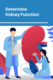 Pin On Kidney Health