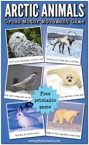 Arctic Animals Gross Motor Movement Game Polar Animals Preschool Arctic Animals Activities Arctic Animals