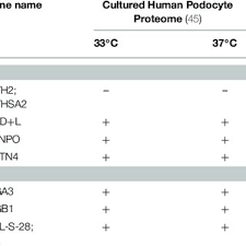 Is your network connection unstable or browser. Pdf Experimental Models To Study Podocyte Biology Stock Taking The Toolbox Of Glomerular Research