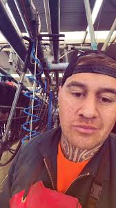 Did you know….. Cows can COUNT!