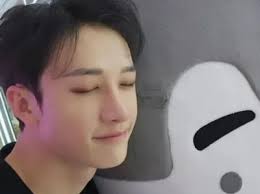 Você Conhece O Stray Kids?