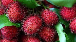 Check spelling or type a new query. Pin On Fruits Nuts And Seeds