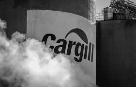 Two old aged guys, one 70 and one 75, were sitting on a park bench one morning. Cargill Named Worst Company In The World Mighty Earth