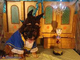 Beauty And The Beast Dogs Costume Step By Step Guide