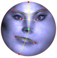 Landmark-driven canonical quasiconformal mappings for a human facial...