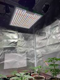 Check spelling or type a new query. P1000 By Viparspectra Grow Lamp Lighting Information Growdiaries