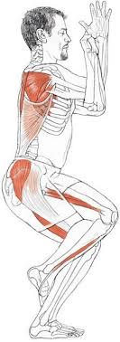 Eagle Pose Garuda The Name Of A Fierce Bird Of Prey The Vehicle Vahana Of The Hindu God Vishnu Usually Describ Eagle Pose Yoga Anatomy Basic Yoga Poses