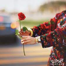 pin on صور ورود اجمل صور زهور ورد رائعة