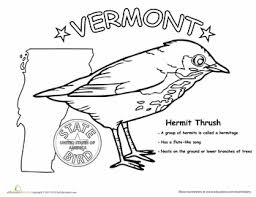 Vermont State Bird Worksheet Education Com State Birds Education Com Vermont