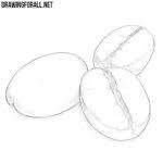 How to draw a vase step by step arcmel com. How To Draw Flowers In A Vase