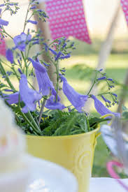 Use small glasses for vases, a pretty teapot, antique tin, mason jars, small bucket, vintage colander with a bowl inside, all work well too. Hosting A Dinner Party On A Budget Around My Family Table