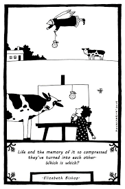 Poem By Elizabeth Bishop Http Www Poemhunter Com Poem Poem 2 Elizabeth Bishop Graphic Illustration Amazing Pics