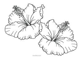 Printable Hibiscus Coloring Pages Printable Hibiscus Flower Coloring Flower Coloring Pages Printable Flower Coloring Pages Flower Coloring Sheets