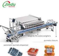 Automatic Cherry Tomato Blueberry Weighing Packing Equipment