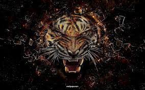 Feb 14, 2020 · description: Foto De Papel De Parede 1600x900 Vida Selvagem Tigre De Bengala Tigre Baixar Gratis 4k Best Of Wallpapers For Andriod And Ios