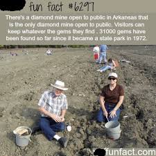 Pin By Sfitman On Places I Want To Go Fun Facts Wtf Fun Facts Weird Facts