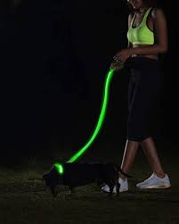 Amazon Com Illumiseen Led Dog Leash Usb Rechargeable Your Dog Will Be More Visible Safe 6 Colors Red Blue Green Pink Orange Yellow Perfect To Use