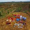 Company list malaysia agriculture plant & animal oil palm oil. 1