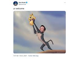 Elon musk's concern that bitcoin primarily relies on fossil fuels for its energy needs is misguided, ark invest analyst yassine elmandjra said in a monday note. Elon Musk S Devotion To The Bitcoin Btc Usd Cryptocurrency Price Over Time Bloomberg