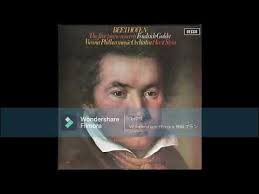 [High quality]L.v.Beethoven