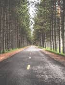 FRASIER, Everett Winfield