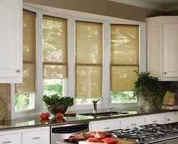 Today, more than ever before, you should take special consideration. Sheer Shade Efficient Window Coverings
