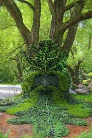 Green Man Beautiful Tree Garden Art Botanical Gardens