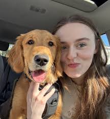 hi does anyone have any residents available i need at least 2 or three