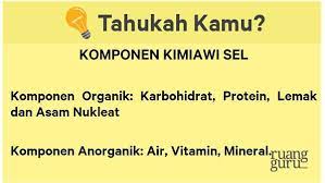 Plasma darah sebagian besar terdiri dari air yaitu 90% dan mengandung protein & bahan organik. Apa Saja Komponen Kimiawi Dalam Sebuah Sel Biologi Kelas 11