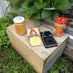 Waiuku Trap Library Open event image