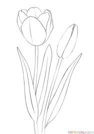How To Draw A Tulip Step By Step Drawing Tutorials Flower Drawing Tutorials Tulip Drawing Drawing Tutorials For Kids