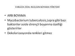 Mikrobiyoloji Laboratuvari Ppt Video Online Indir