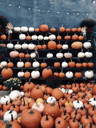 26 icky & ooey halloween activities for toddlers. Ultimate Houston Halloween Guide The 20 Best Things To Do For The Scariest Of Holidays