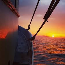 Maybe you would like to learn more about one of these? The Brando Updated 2021 Prices Resort Reviews And Photos Tahiti South Pacific Tripadvisor